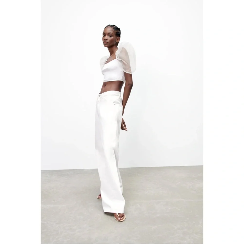 Zara Sheer Puff Sleeves Top with Organza Inserts - Picture 8 of 11